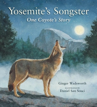 Hardcover Yosemite's Songster: One Coyote's Story Book