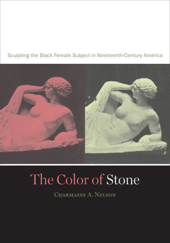 Paperback The Color of Stone: Sculpting the Black Female Subject in Nineteenth-Century America Book