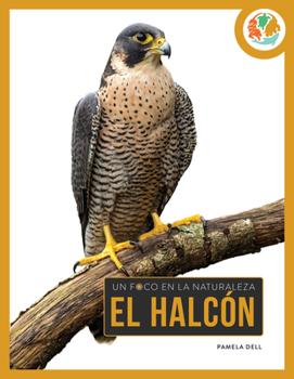 Paperback El Halcón [Spanish] Book