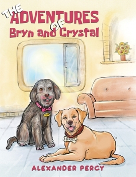 Paperback The Adventures of Bryn and Crystal Book