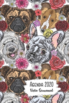 Paperback Agenda 2020 Vista Semanal: 12 Meses Programaci?n Semanal Calendario en Espa?ol Dise?o Perro y Floral Book