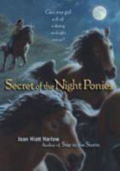 Hardcover Secret of the Night Ponies Book