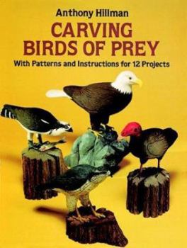 Paperback Carving Birds of Prey: With Patterns and Instructions for 12 Projects Book