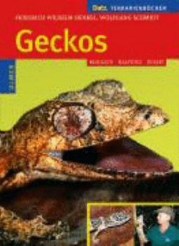 Hardcover Geckos: Biologie, Haltung und Zucht [German] Book