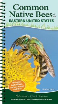 Spiral-bound Common Native Bees of the Eastern United States: Your Way to Easily Identify Bees and Look-Alikes Book