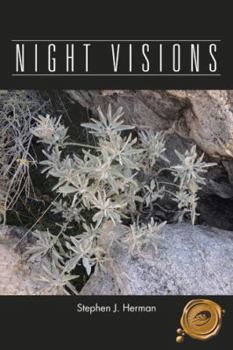 Paperback Night Visions Book