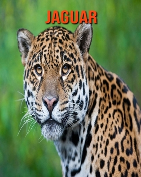 Paperback Jaguar: Amazing Facts about Jaguar Book