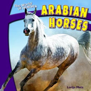 Library Binding Arabian Horses Book