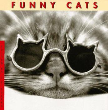 Hardcover Funny Cats Book