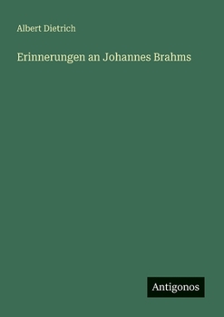 Erinnerungen an Johannes Brahms (German Edition)