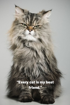 Paperback Notebook Journal: This Cat Notebook/ Cat Journal / Cat Women / For Cats Pets Lover (6x9 Journal) Lined Writing Notebook, 120 Pages Cat G Book