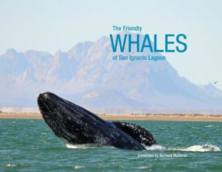 Paperback The Friendly Whales of San Ignacio Lagoon Book