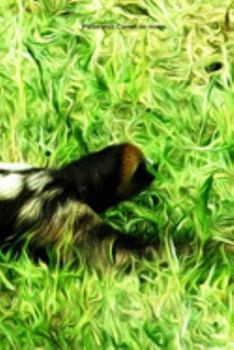 Paresseux Carnet de notes: Journal A5 ligné original de 119 pages- Une belle idée de cadeau pour les amoureux des animaux (French Edition)