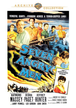 DVD Seven Angry Men Book