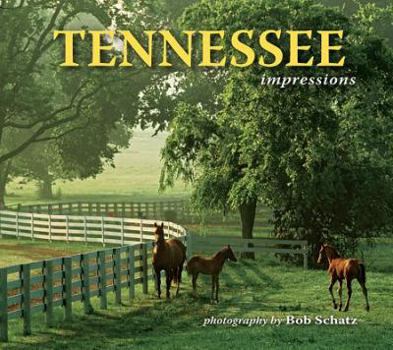 Paperback Tennessee Impressions Book