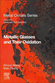 Paperback Metallic Glasses and Their Oxidation Book