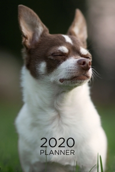 Paperback Planner: 2020 diary: Increase productivity, improve time management, reach your goals: Lovely Chihuahua: Modern artistic photog Book