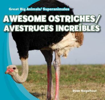 Library Binding Awesome Ostriches/Avestruces Increibles Book