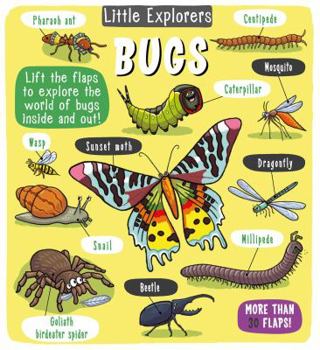 Hardcover Little Explorers: Bugs Book