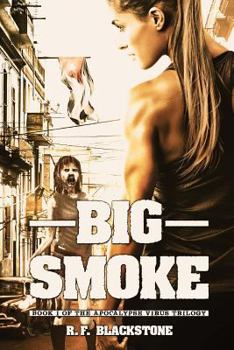 Paperback Big Smoke Book