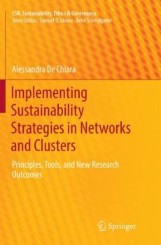 Paperback Implementing Sustainability Strategies in Networks and Clusters: Principles, Tools, and New Research Outcomes Book