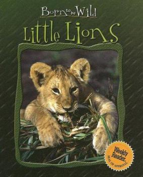 Library Binding Little Lions Book