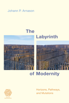 Paperback The Labyrinth of Modernity: Horizons, Pathways and Mutations Book