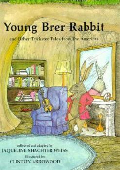 Hardcover Young Brer Rabbit Book