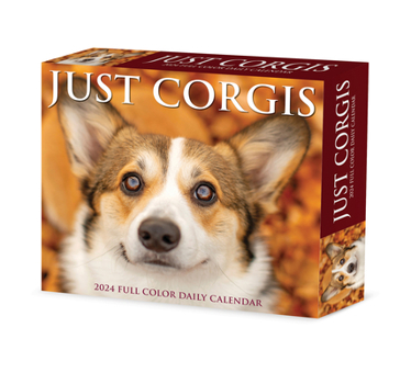 Product Bundle Corgis 2024 6.2 X 5.4 Box Calendar Book