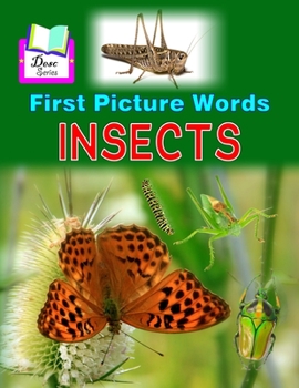 Paperback First Picture Words: Insects Book