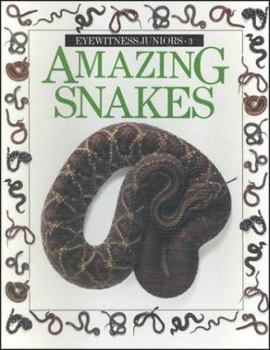 Paperback Amazing Snakes Book