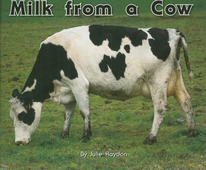 Paperback Rigby Flying Colors: Individual Student Edition Yellow Milk from a Cow Book