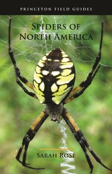 Paperback Spiders of North America Book