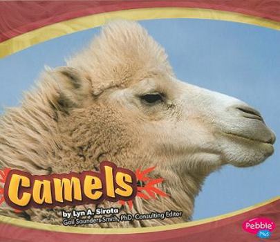 Library Binding Camels Book