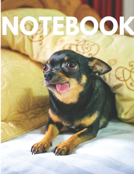 Paperback Notebook: Chihuahua theme - Funny Notebook Gift for a Chihuahua owner - 8.5 x 11 inches Book