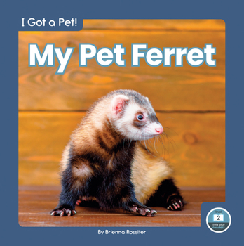 Library Binding My Pet Ferret Book