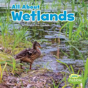 Hardcover All about Wetlands Book