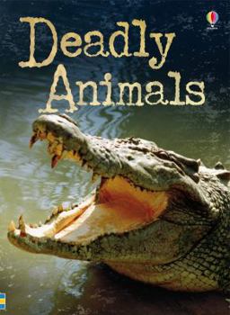 Paperback Deadly Animals (Beginners Plus) Book
