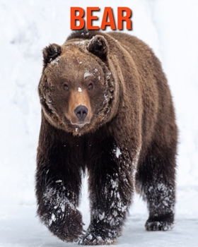 Bear: Beautiful Pictures & Interesting Facts Children Book About Bear
