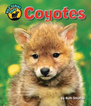 Coyotes - Book  of the Wild Canine Pups