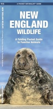 Paperback New England Wildlife: A Folding Pocket Guide to Familiar Animals Book