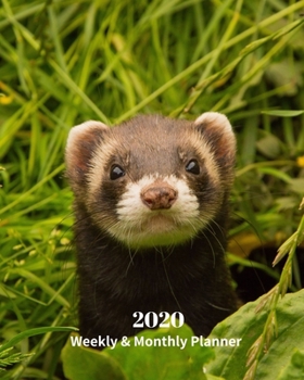 Paperback 2020 Weekly and Monthly Planner: Ferret - Monthly Calendar with U.S./UK/ Canadian/Christian/Jewish/Muslim Holidays- Calendar in Review/Notes 8 x 10 in Book