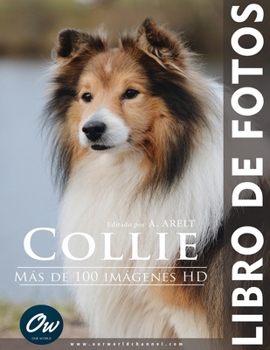 Collie: Libro de fotos - Más de 100 imágenes HD (Fotolibro - Oltre 100 immagini HD) (Spanish Edition)