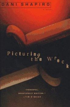 Paperback Picturing the Wreck Book