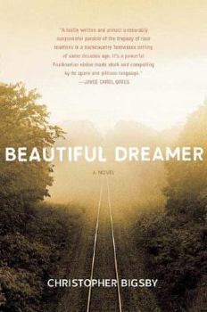 Hardcover Beautiful Dreamer Book