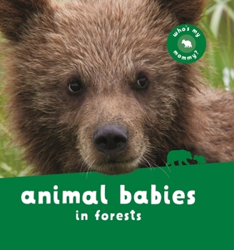 Animal Babies in Rain Forests (Animal Babies) - Book  of the Animal Babies