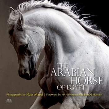 Paperback The Arabian Horse of Egypt Book