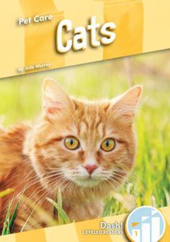 Cats - Book  of the Pet Care