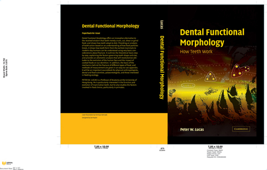 Hardcover Dental Functional Morphology: How Teeth Work Book
