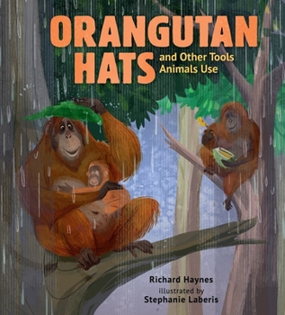 Hardcover Orangutan Hats and Other Tools Animals Use Book